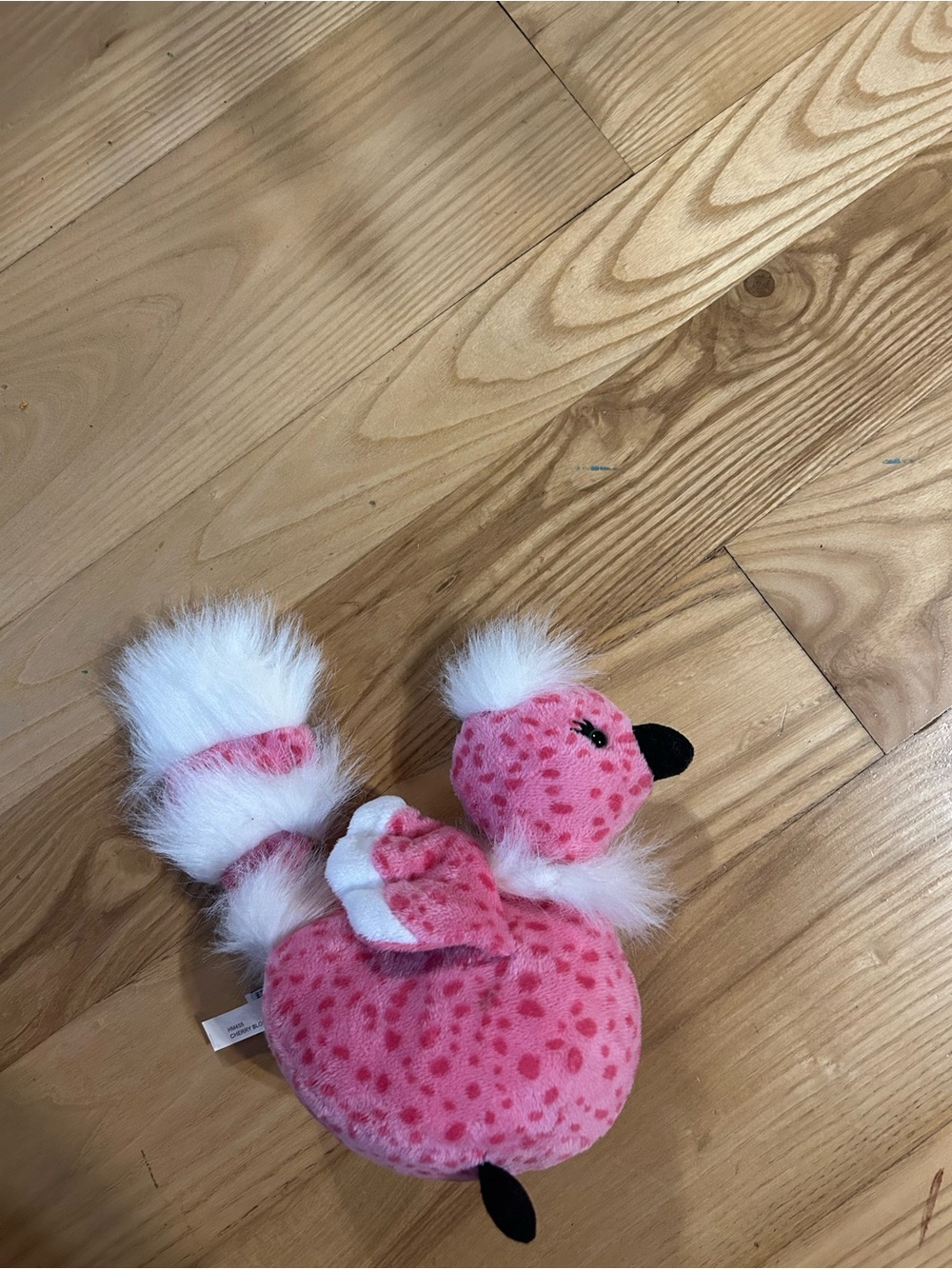 Webkinz cherry blossom bird